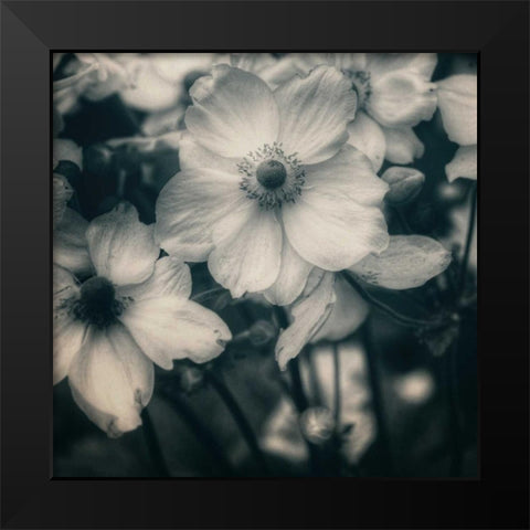 Blossoms At Dusk Black Modern Wood Framed Art Print by Hoey, Linda