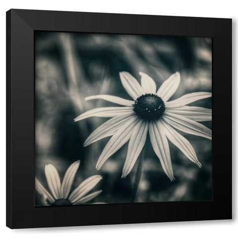 Garden At Dusk Black Modern Wood Framed Art Print by Hoey, Linda