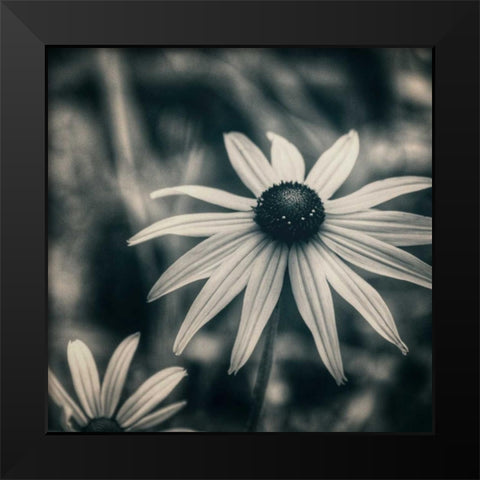 Garden At Dusk Black Modern Wood Framed Art Print by Hoey, Linda