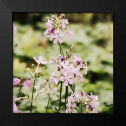 Garden Dreams 1 Black Modern Wood Framed Art Print by Hoey, Linda