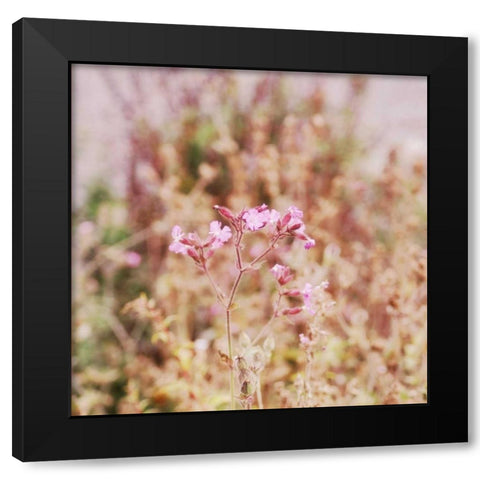 Garden Dreams 2 Black Modern Wood Framed Art Print by Hoey, Linda