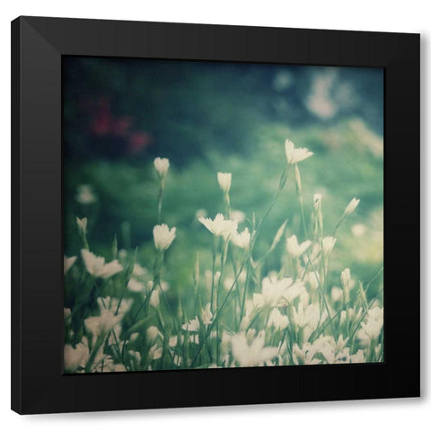Garden Dreams 3 Black Modern Wood Framed Art Print by Hoey, Linda