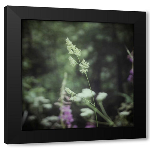 Garden Dreams 4 Black Modern Wood Framed Art Print with Double Matting by Hoey, Linda