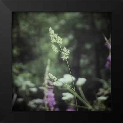 Garden Dreams 4 Black Modern Wood Framed Art Print by Hoey, Linda