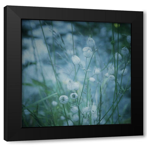 Garden Dreams 5 Black Modern Wood Framed Art Print by Hoey, Linda
