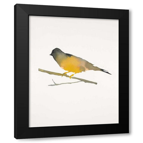 Water Bird 4 Black Modern Wood Framed Art Print with Double Matting by Swartz, Megan