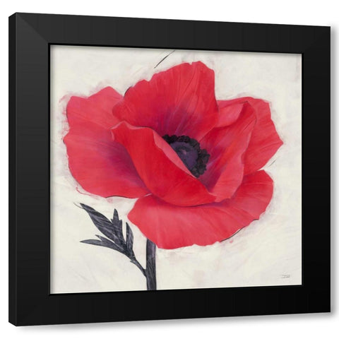 Jubilant Poppy Black Modern Wood Framed Art Print by Stoyanov, Ivo