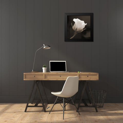 Single Bud Black Modern Wood Framed Art Print by Semenza, Marlana