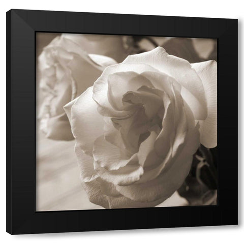 Sepia Rose 2 Black Modern Wood Framed Art Print by Semenza, Marlana