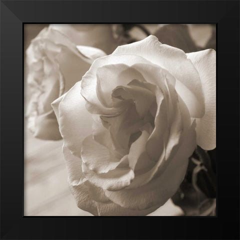 Sepia Rose 2 Black Modern Wood Framed Art Print by Semenza, Marlana