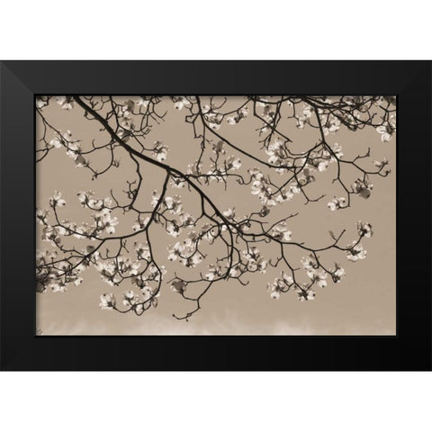 Dogwood Silhouette 1 Black Modern Wood Framed Art Print by Semenza, Marlana