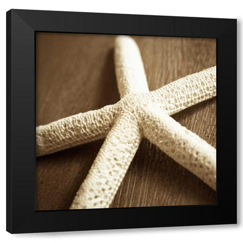 Natural Starfish Black Modern Wood Framed Art Print by Semenza, Marlana