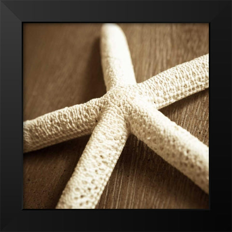 Natural Starfish Black Modern Wood Framed Art Print by Semenza, Marlana