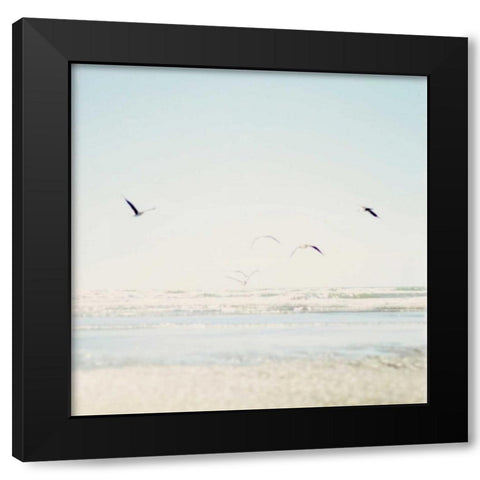 Faded Flight Black Modern Wood Framed Art Print by Susannah Tucker Photography