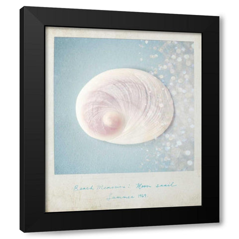 Beach Memories Moon Snail Black Modern Wood Framed Art Print by Susannah Tucker Photography