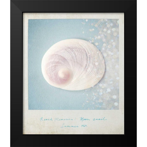 Beach Memories Moon Snail Black Modern Wood Framed Art Print by Susannah Tucker Photography