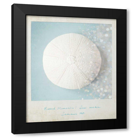 Beach Memories Sea Urchin Black Modern Wood Framed Art Print by Susannah Tucker Photography