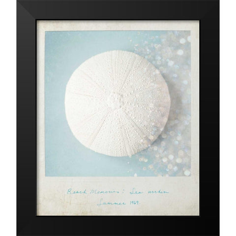 Beach Memories Sea Urchin Black Modern Wood Framed Art Print by Susannah Tucker Photography