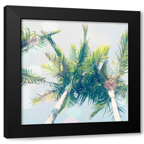 Sun Speckled Palm Trees Black Modern Wood Framed Art Print with Double Matting by Susannah Tucker Photography