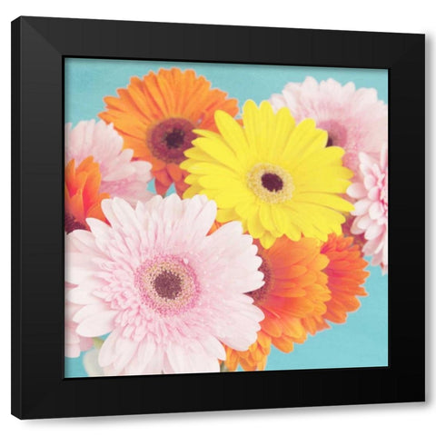 Happy Daisies Black Modern Wood Framed Art Print with Double Matting by Susannah Tucker Photography