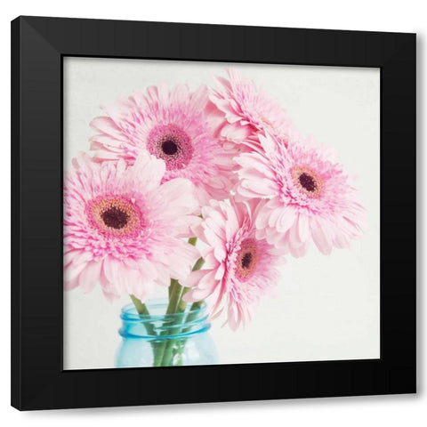 Pretty Pink Daisies Black Modern Wood Framed Art Print with Double Matting by Susannah Tucker Photography
