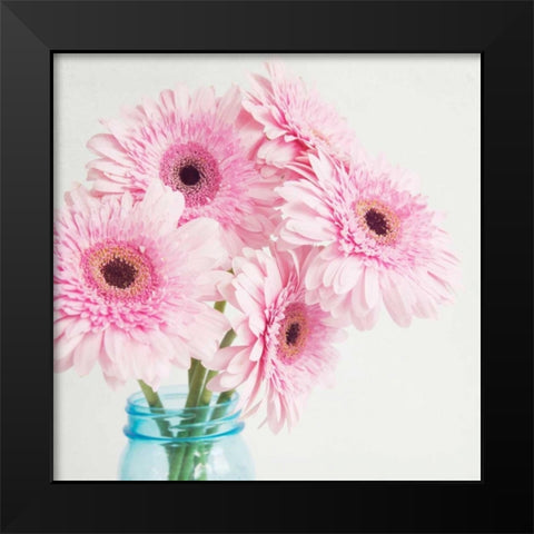 Pretty Pink Daisies Black Modern Wood Framed Art Print by Susannah Tucker Photography