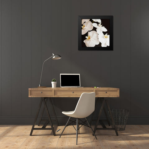 Dramatic Orchid 1 Black Modern Wood Framed Art Print by Susannah Tucker Photography