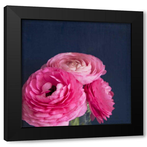 Enchanted Posies Black Modern Wood Framed Art Print with Double Matting by Susannah Tucker Photography