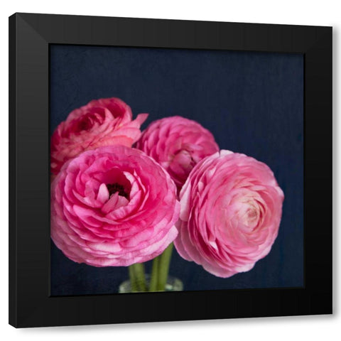 Enchanted Blooms Black Modern Wood Framed Art Print with Double Matting by Susannah Tucker Photography