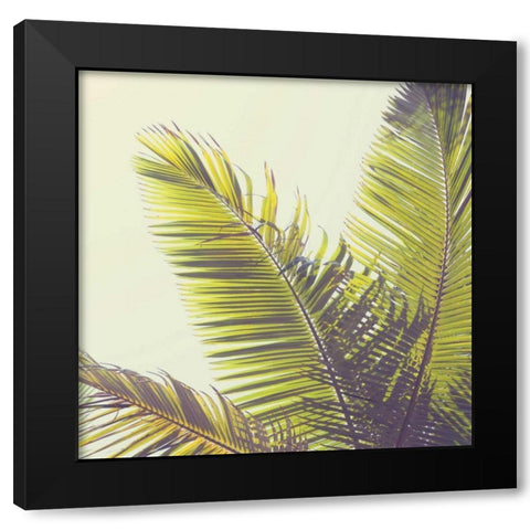 Sunshine Palm Trees Black Modern Wood Framed Art Print by Susannah Tucker Photography