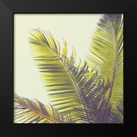 Sunshine Palm Trees Black Modern Wood Framed Art Print by Susannah Tucker Photography