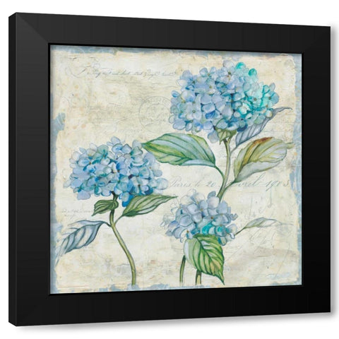 Studio Field Sketch 1 Black Modern Wood Framed Art Print with Double Matting by Studio Rofino