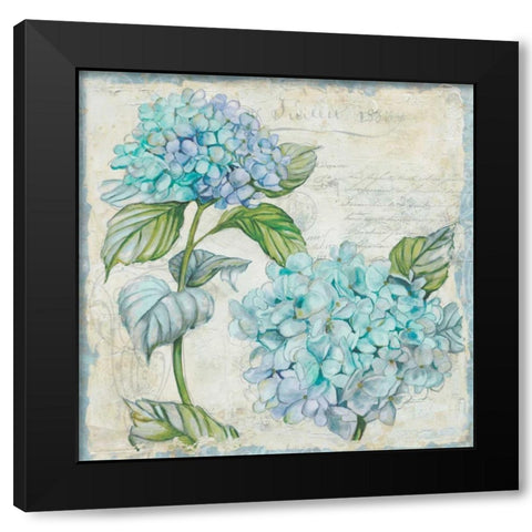 Studio Field Sketch 2 Black Modern Wood Framed Art Print with Double Matting by Studio Rofino