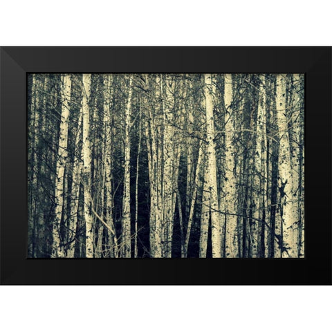 Birch Dream Black Modern Wood Framed Art Print by Dickinson, Robin