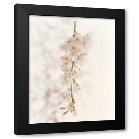 Hanging Blossoms Black Modern Wood Framed Art Print by Dickinson, Robin