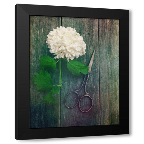 Fresh Cut Black Modern Wood Framed Art Print by Dickinson, Robin
