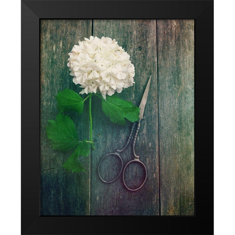 Fresh Cut Black Modern Wood Framed Art Print by Dickinson, Robin