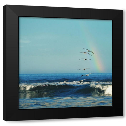 Rainbow Flight Black Modern Wood Framed Art Print with Double Matting by Dickinson, Robin
