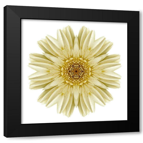 Kaleidoscope Daisy Black Modern Wood Framed Art Print by Bookbinder, David