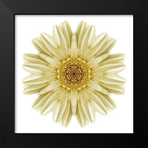 Kaleidoscope Daisy Black Modern Wood Framed Art Print by Bookbinder, David