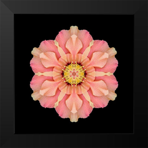 Kaleidoscope Hibiscus Black Modern Wood Framed Art Print by Bookbinder, David