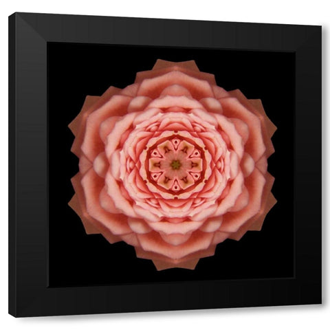 Kaleidoscope Rose Black Modern Wood Framed Art Print with Double Matting by Bookbinder, David