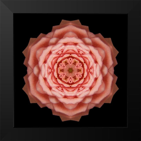 Kaleidoscope Rose Black Modern Wood Framed Art Print by Bookbinder, David