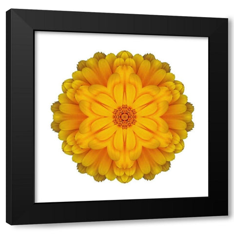 Kaleidoscope Marigold Black Modern Wood Framed Art Print with Double Matting by Bookbinder, David