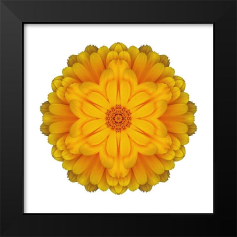 Kaleidoscope Marigold Black Modern Wood Framed Art Print by Bookbinder, David