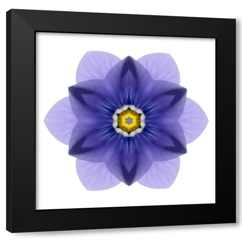Kaleidoscope Blue Bell Black Modern Wood Framed Art Print by Bookbinder, David