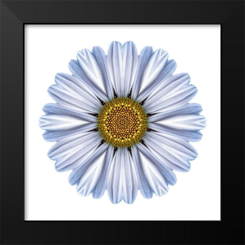 Kaleidoscope White Daisy Black Modern Wood Framed Art Print by Bookbinder, David