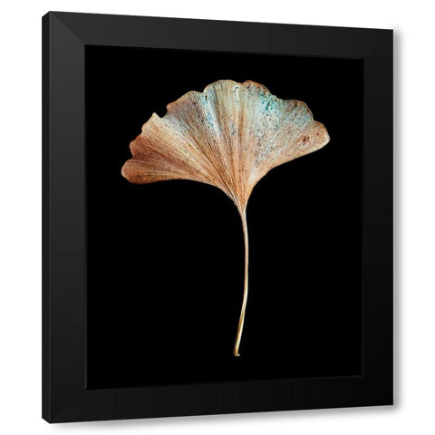 Rustic Leaf 1 Black Modern Wood Framed Art Print with Double Matting by Bookbinder, David