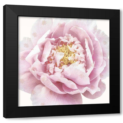 Whisper Floral Black Modern Wood Framed Art Print by Dos Santos, Bella