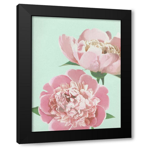 Summer Peonies Detail Black Modern Wood Framed Art Print by Dos Santos, Bella
